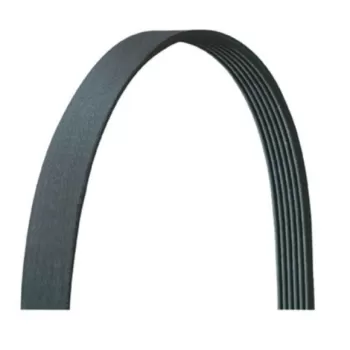 تسمه دینام آریزو ۵ معمولی  E4G16-1025051